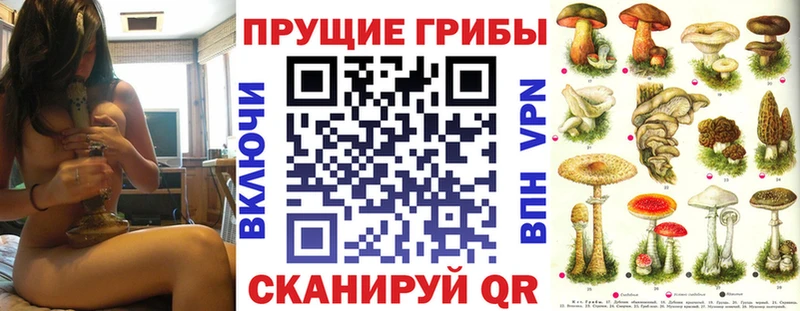 Псилоцибиновые грибы MAGIC MUSHROOMS  Новая Усмань 